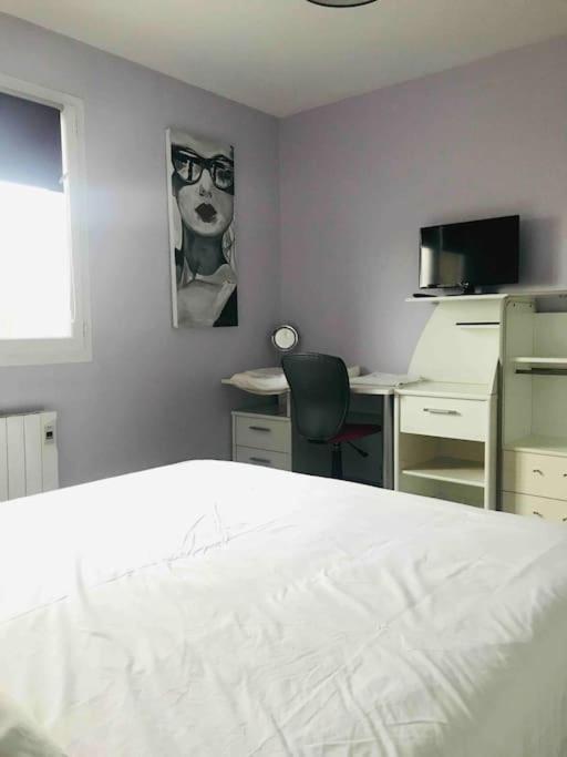 Appartement Belle Vue Sur Les Montagnes Saint-Pierre-en-Faucigny Luaran gambar