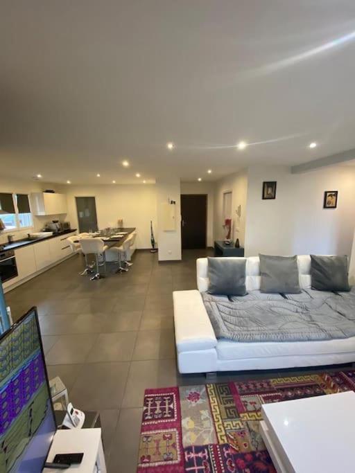 Appartement Belle Vue Sur Les Montagnes Saint-Pierre-en-Faucigny Luaran gambar